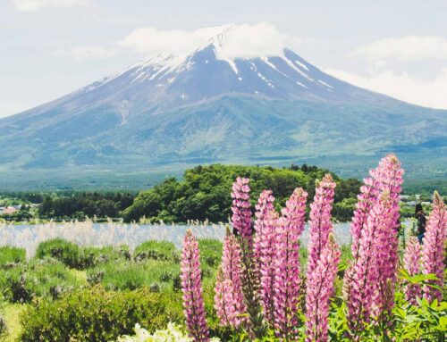 How to Spend 3 Days in San Sebastian, Spain